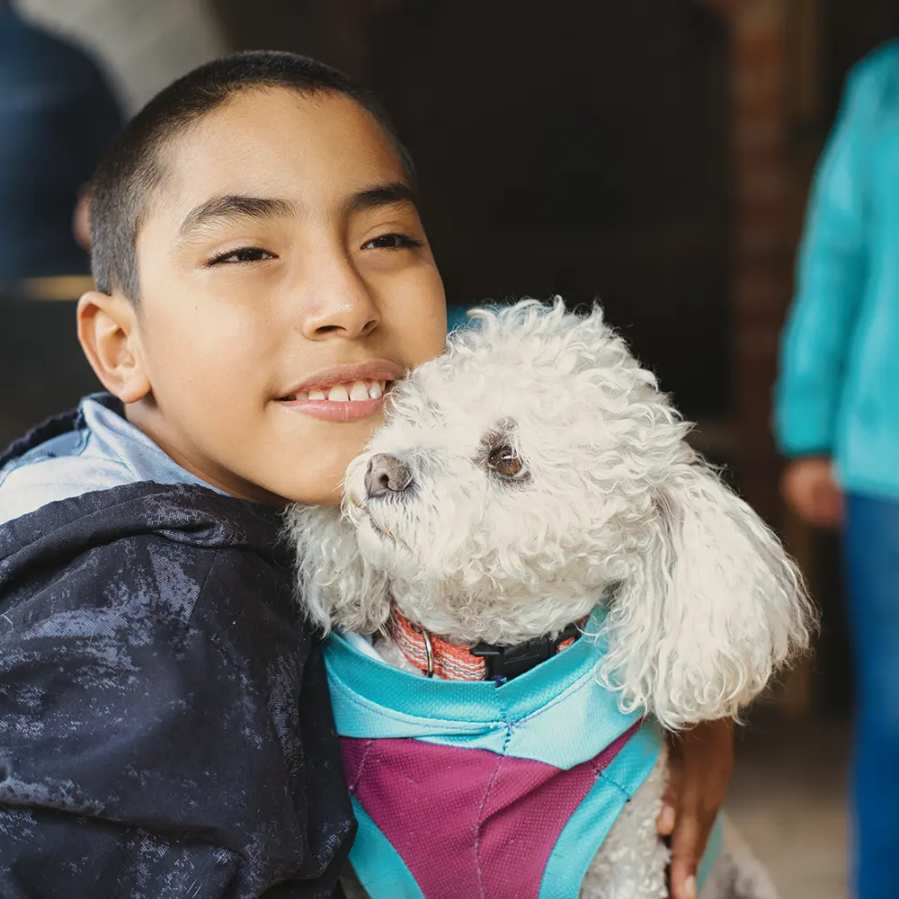 Próximo Degarai - Cinoterapia