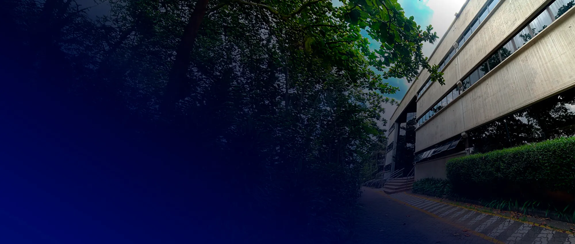 <p>CENTRO DE EXCELÊNCIA NO TRATAMENTO DE TRANSTORNOS DE ALTA COMPLEXIDADE</p>
